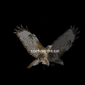 We Can Do It (21/08/2006 11:26:12)