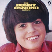 So Shy by Donny Osmond