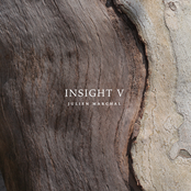INSIGHT V