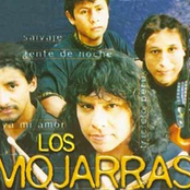 los mojarras