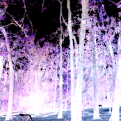 Autonomous Realities