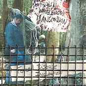 FORCED DISEASE INCUBATION