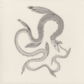 Il serpente nel cielo