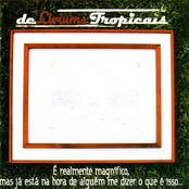 É Realmente Magnífico, Mas Já Está na Hora de Alguém Me Dizer o Que É Isso...