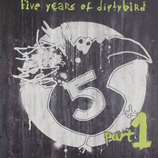 Five Years Of Dirtybird Part 1