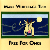 Bass Stick by Mark Whitecage Trio