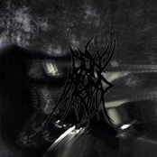 My Guitar Wants To Kill Your Wolves