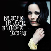 Blackbird's Echo by Niobe