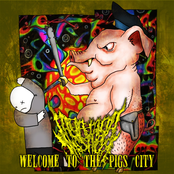 Welcome To The Pigs City