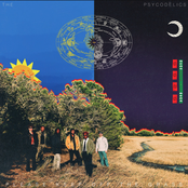 The Psycodelics: Please Keep off the Grass