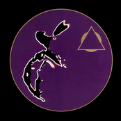 Cymatic Scan