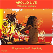 Tips from the inside: Instrumental surf rock