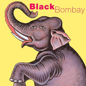 black bombay