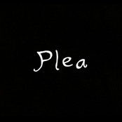 Plea