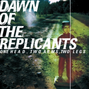Cocaine On The Catwalk by Dawn Of The Replicants