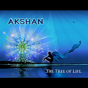 Back To The Origin by Akshan