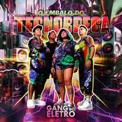 O Embalo do Tecnobrega