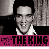 A Song For The King - 29 Obscure Elvis Tributes