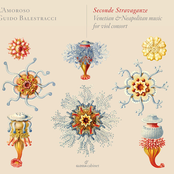 Seconde Stravaganze: Venetian & Neapolitan Music for Viol Consort