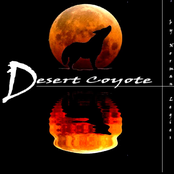 Desert Coyote