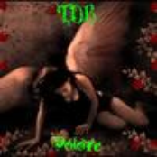 Dolore