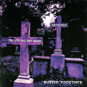 Buried Together