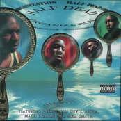 The Half Dead Organization