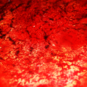 Death By Diarrhoea (DEMO 2009)