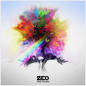 Zedd: True Colors