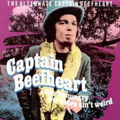 Flower Pot by Captain Beefheart & His Magic Band