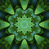 Madre de Las Plantas