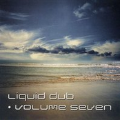 Liquid Dub - Volume Seven