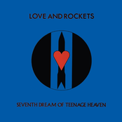 Love and Rockets: Seventh Dream of Teenage Heaven