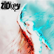 Zidkey