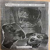 degenerate electroniks