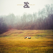 Angela Perley: Turn Me Loose