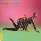 Sentimental Meltdown