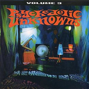 Psychedelic Unknowns Vol 3