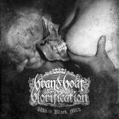Witch Black Milk