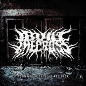 Dogma Of Secular Religion (Single)