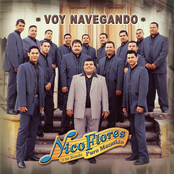 Voy Navegando