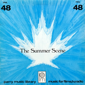 The Summer Scene