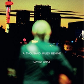 I Tremble For You by David Gray