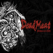 Dead Meat: Unleash the Gore [EP]