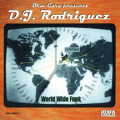 World Wide Funk (Ohm Guru Presents)