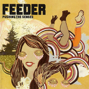 Feeder: Pushing the Senses