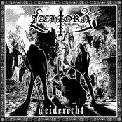 Weiderecht