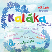 Madáretető by Kaláka