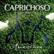 Caprichoso 2015 - Amazonia