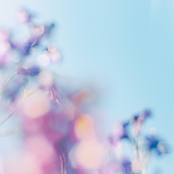 tengoku / Summer Conte